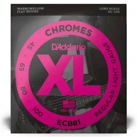 D'ADDARIO ECB81 XL CHROMES LONG SCALE .045/.100