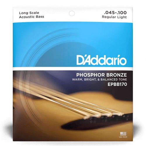 D'ADDARIO EPBB170 Regular Light Long Scale Acoustic Bass .045/.100